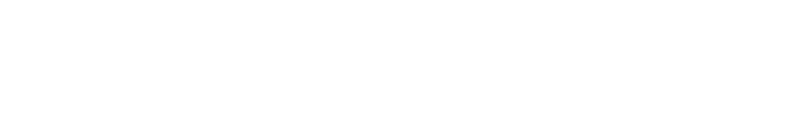 Wallick & Volk Logo